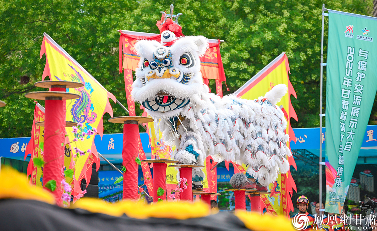 安定舞狮将狮子的威猛、灵动展现得活灵活现